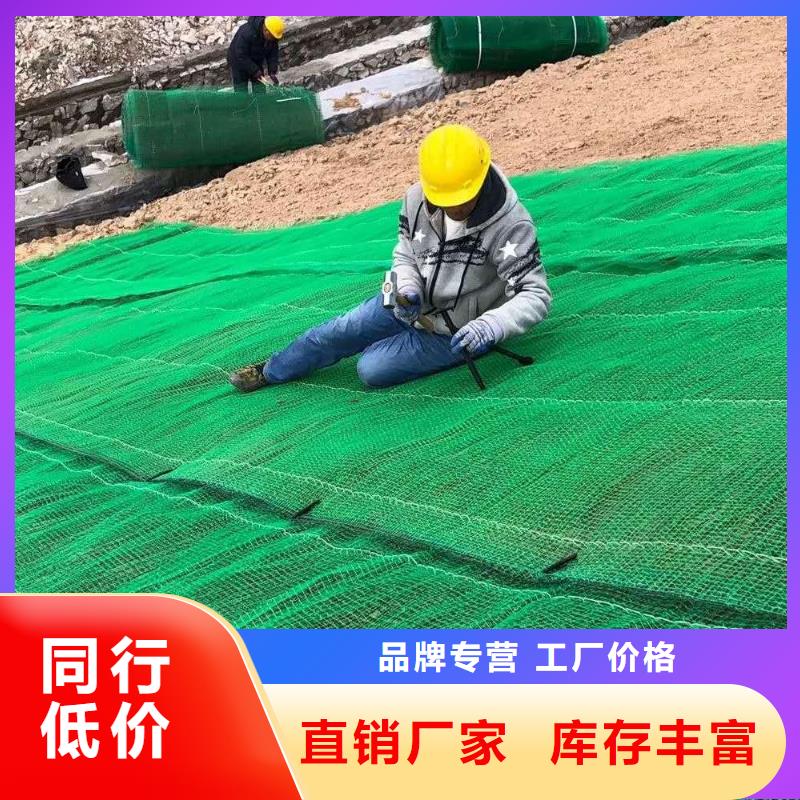 三维植被网加筋土工网垫EM3型植被网护坡加筋