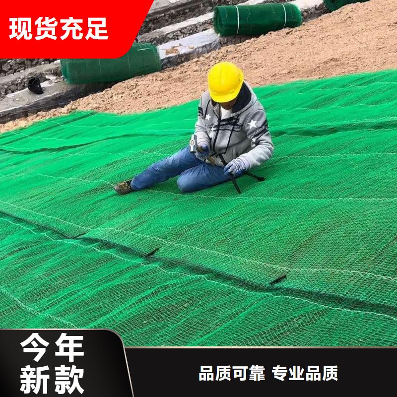 三维植被网-【长丝土工布】满足您多种采购需求