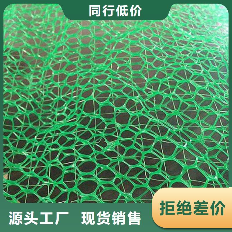 质量检测【鼎诺】 三维植被网真正让利给买家