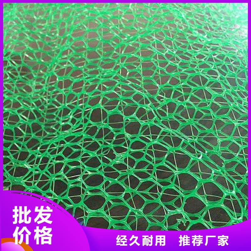 同城《鼎诺》三维植被网价格-三维土工网垫生产厂家