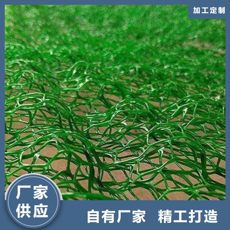 质量检测【鼎诺】 三维植被网真正让利给买家