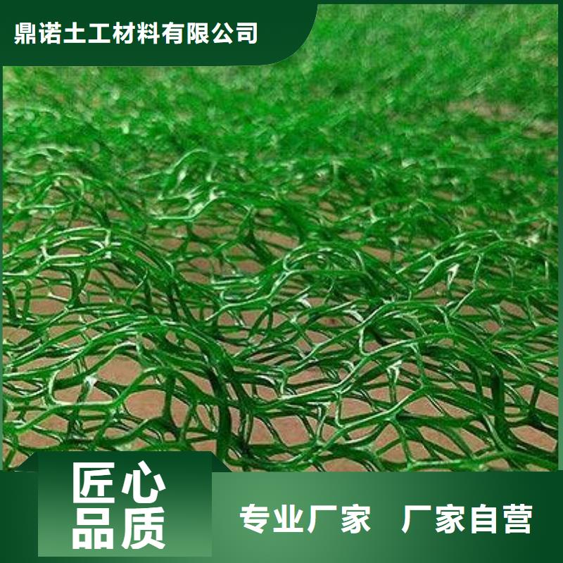 植草护坡绿化三维植被网垫em4三维网
