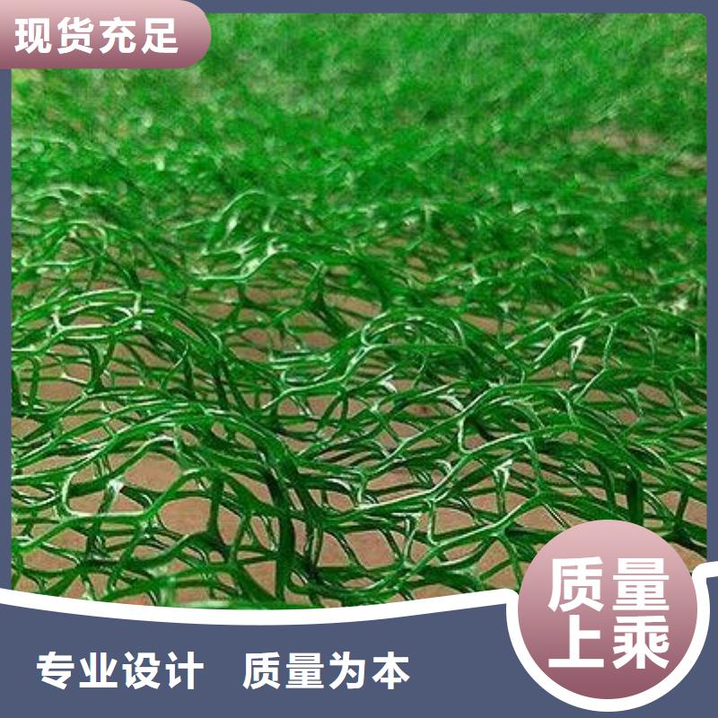 三维植被网加筋土工网垫EM3型植被网护坡加筋