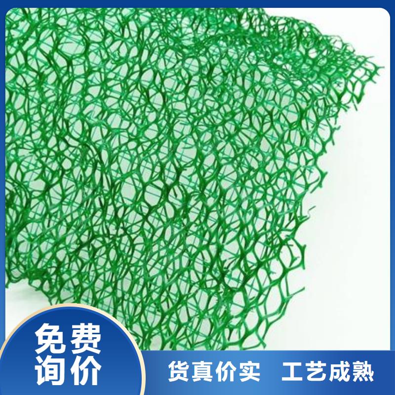 万宁市三维植被网货源充足支持定制-厂家现货三维植被网