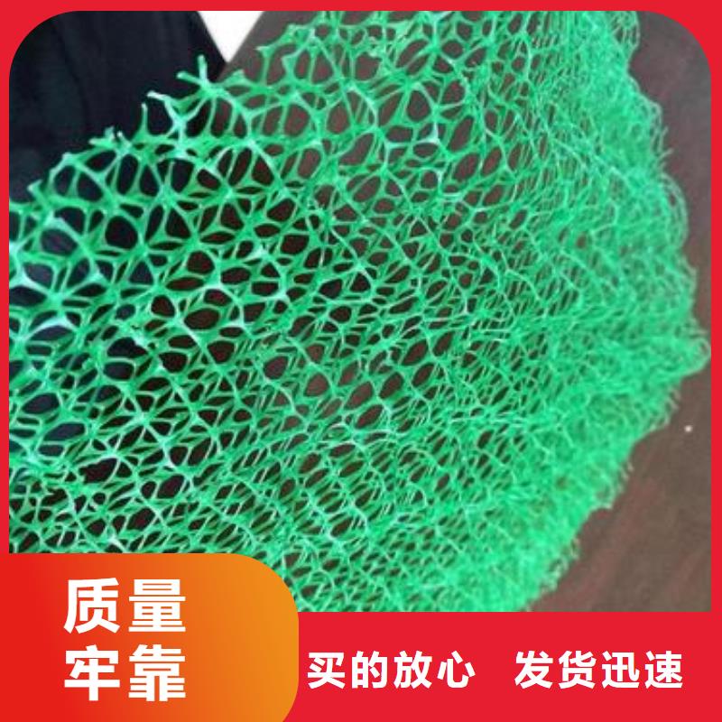绿色三维网生产三维植被网生产