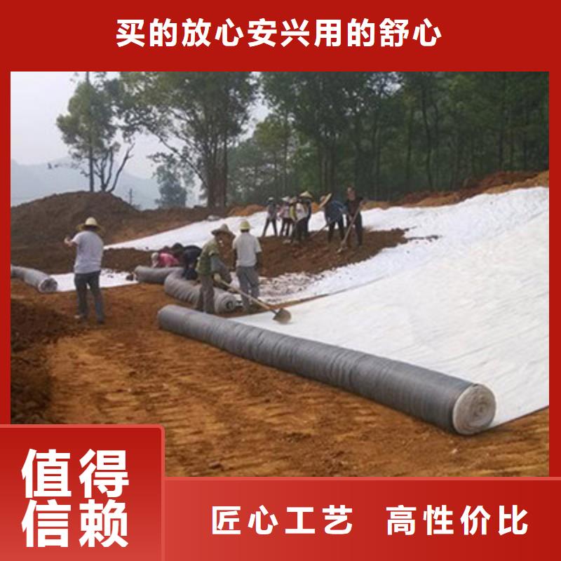 【膨润土防水毯-玻纤土工格栅厂家工艺先进】