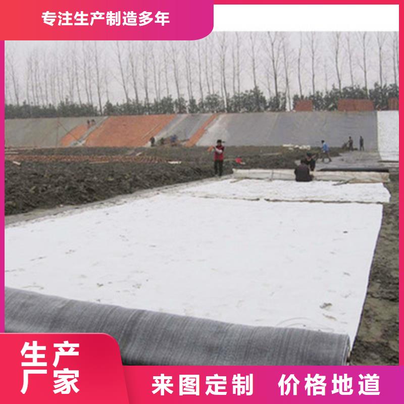 一件也发货(鼎诺)膨润土防水毯三维复合排水网精心打造