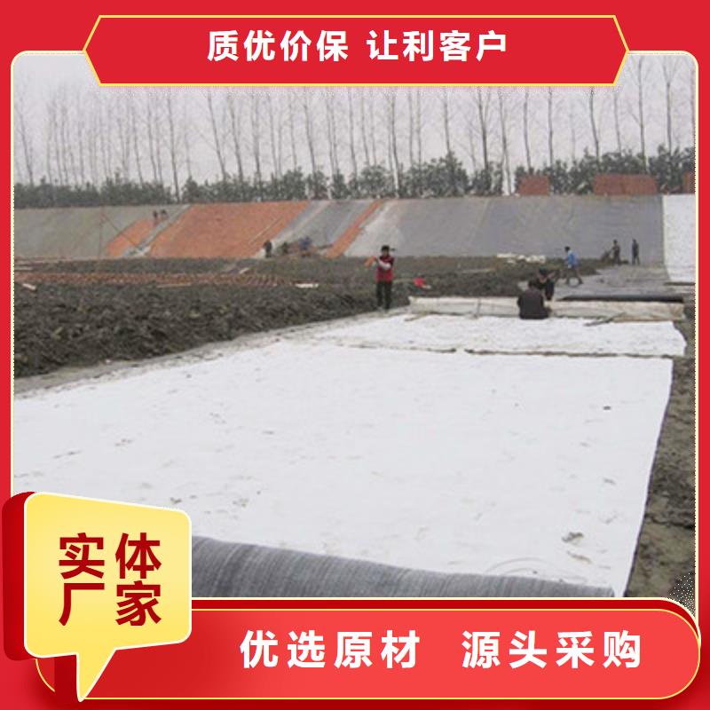 专业膨润土防水毯生产厂家-