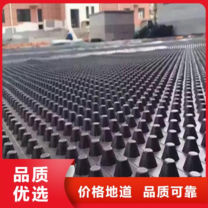 乐东县塑料排水板蓄水板