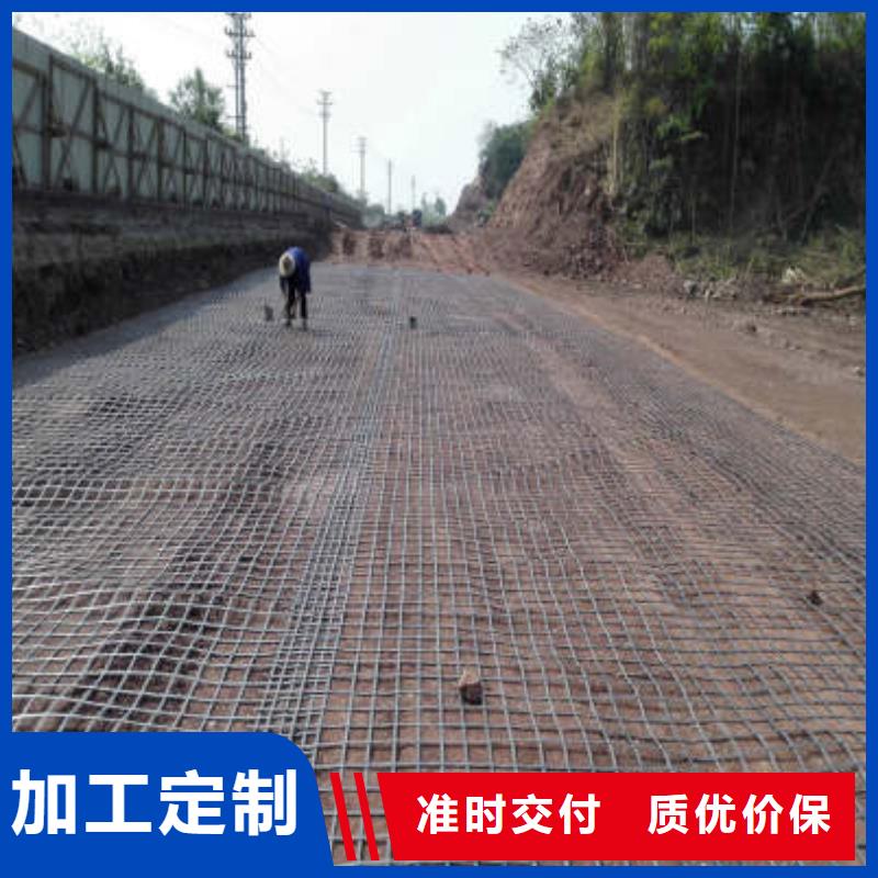 经编涤纶土工格栅厂家防渗反滤道路养护环保防尘