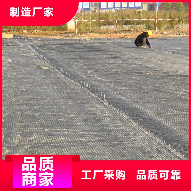 经编涤纶土工格栅厂家防渗反滤道路养护环保防尘