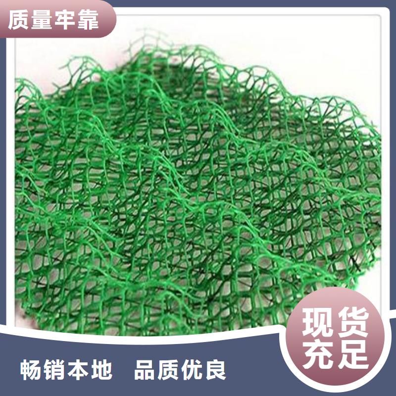 《鞍山》直销护坡种草三维植被网生产厂家收费标准