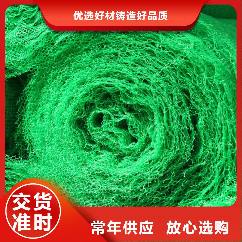 阳江生产三维植被网护坡做法-价格低