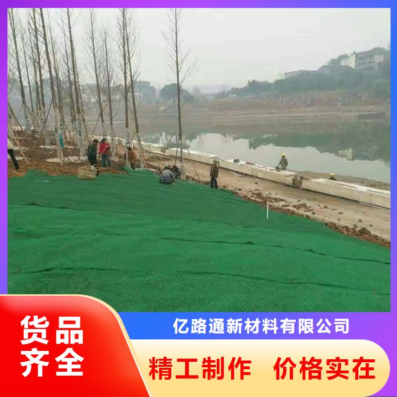 三维植被网,公路边坡植草绿化,三维土工网垫