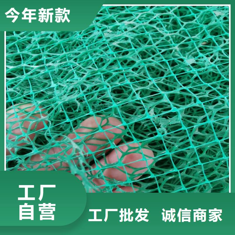 三维植被网护坡做法-价格低