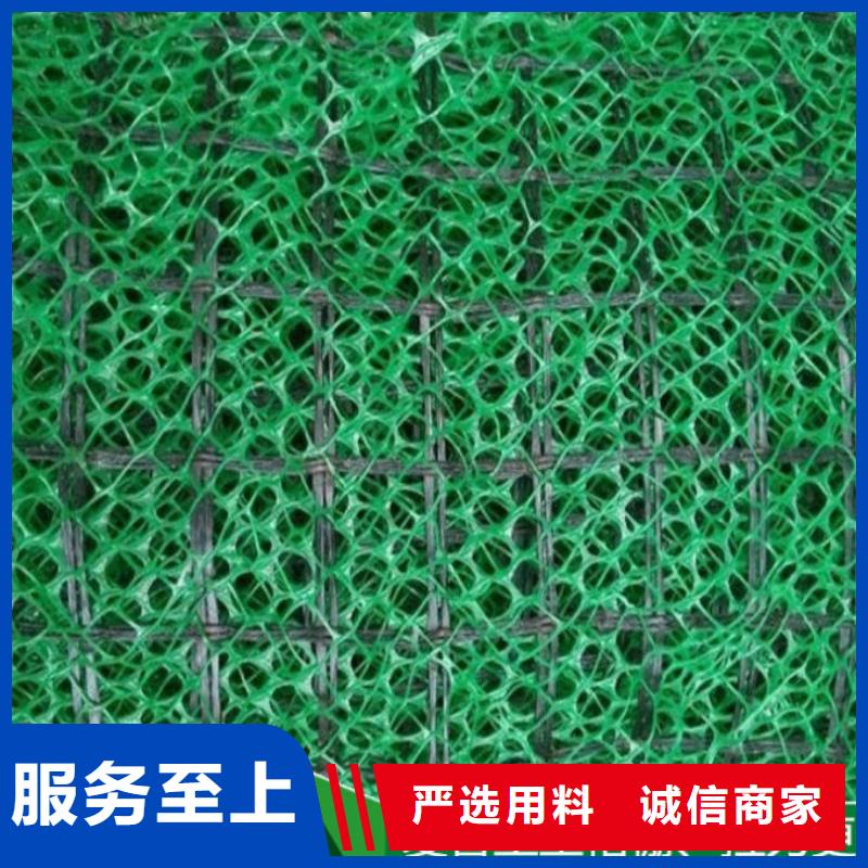 三维植被网-护坡网-施工简单