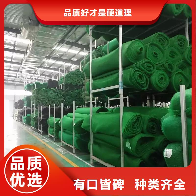 阳江生产三维植被网护坡做法-价格低