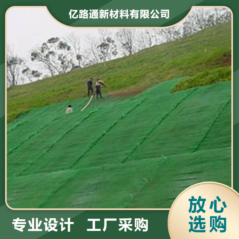 澄迈县三维植被网|三维网垫植草护坡|三维土工网垫厂家选山东亿路通