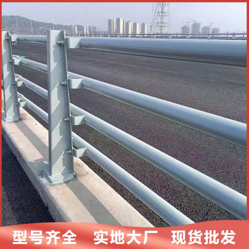 广东中山周边市东区街道桥梁护栏质优价廉桥梁护栏