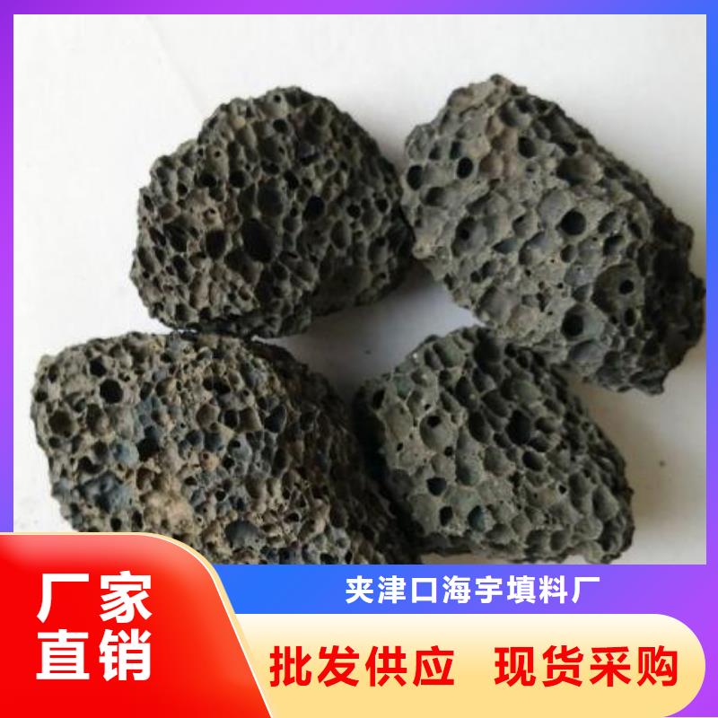 《广州》直销曝气滤池专用火山岩批发