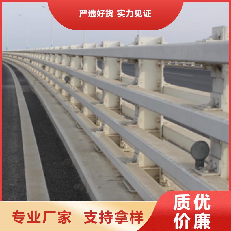 选购[信迪]桥梁不锈钢护栏公司实力雄厚