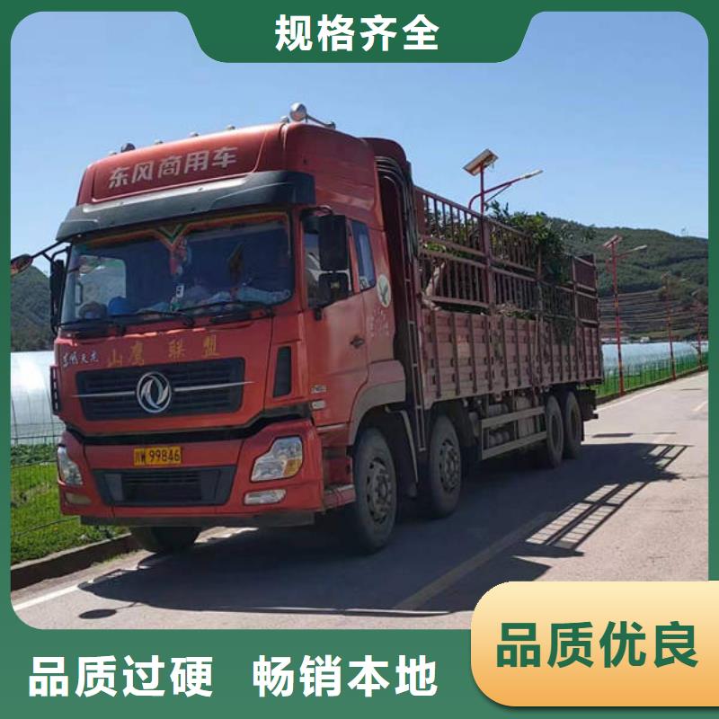 庆阳附近到上海返空货车整车运输公司（空车-配货）