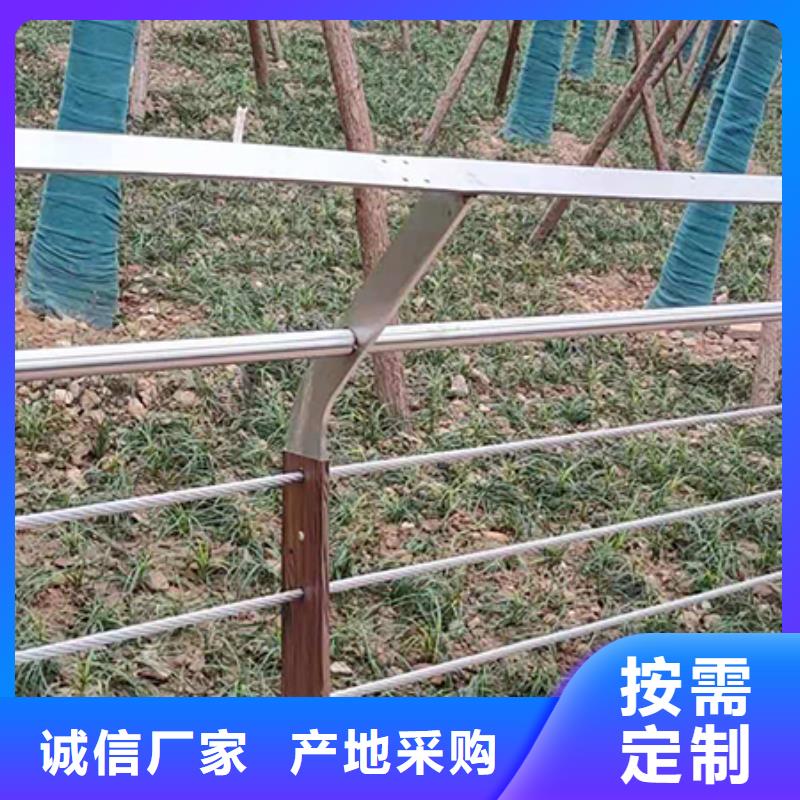 河道钢丝绳栏杆价格安全性高