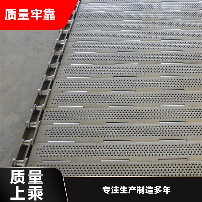 定制(浩宇)尼龙链板式输送带生产厂家