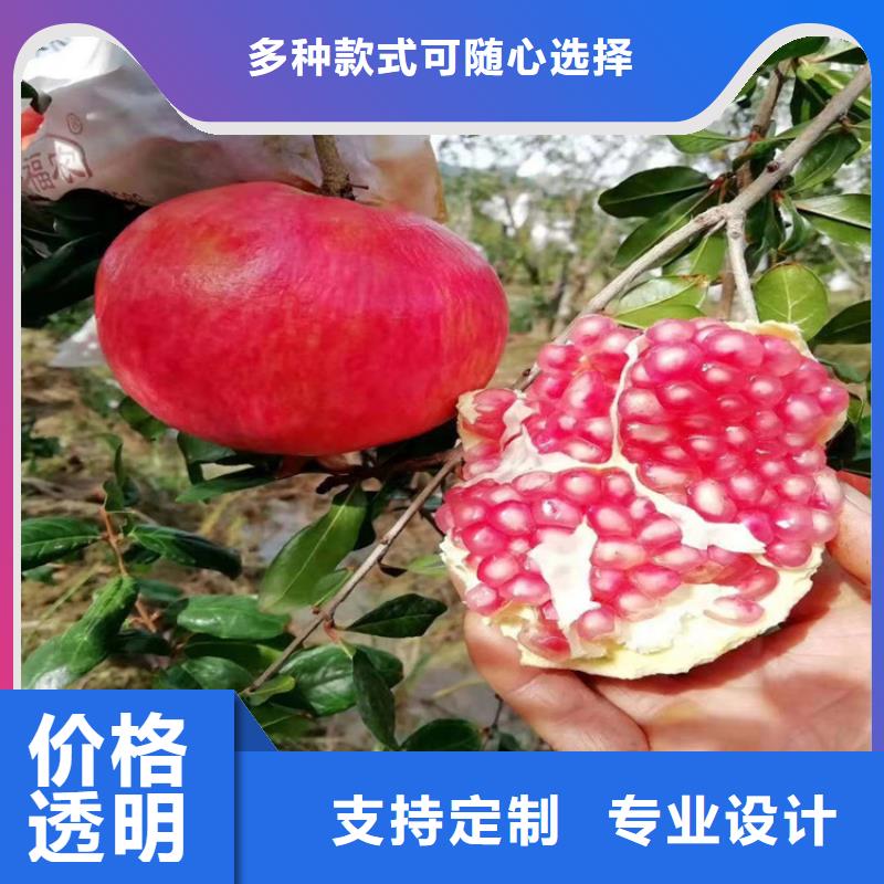 黑籽石榴苗量多优惠