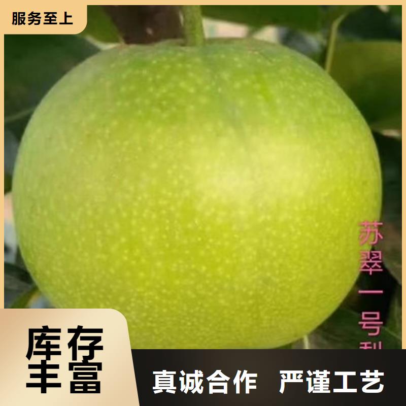 【梨树,无花果苗工厂认证】