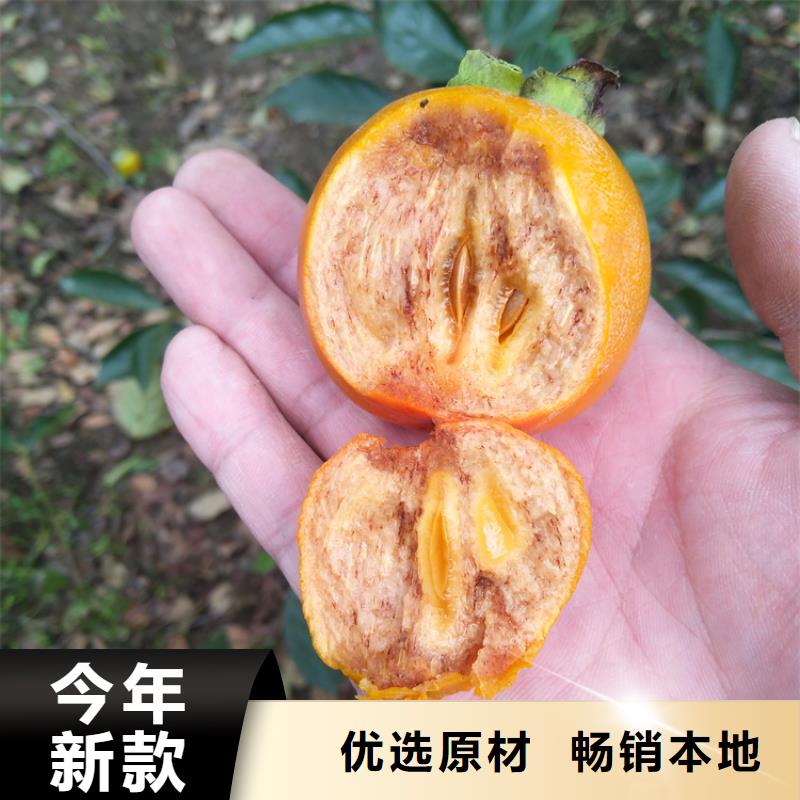 【柿子桃树苗量大更优惠】