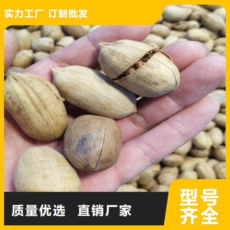 碧根果无花果苗生产厂家