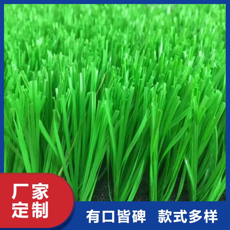 鱼台县绿草地人造草坪
