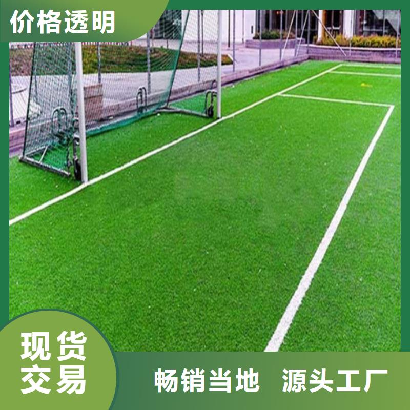 足球场人造草坪质量为本
