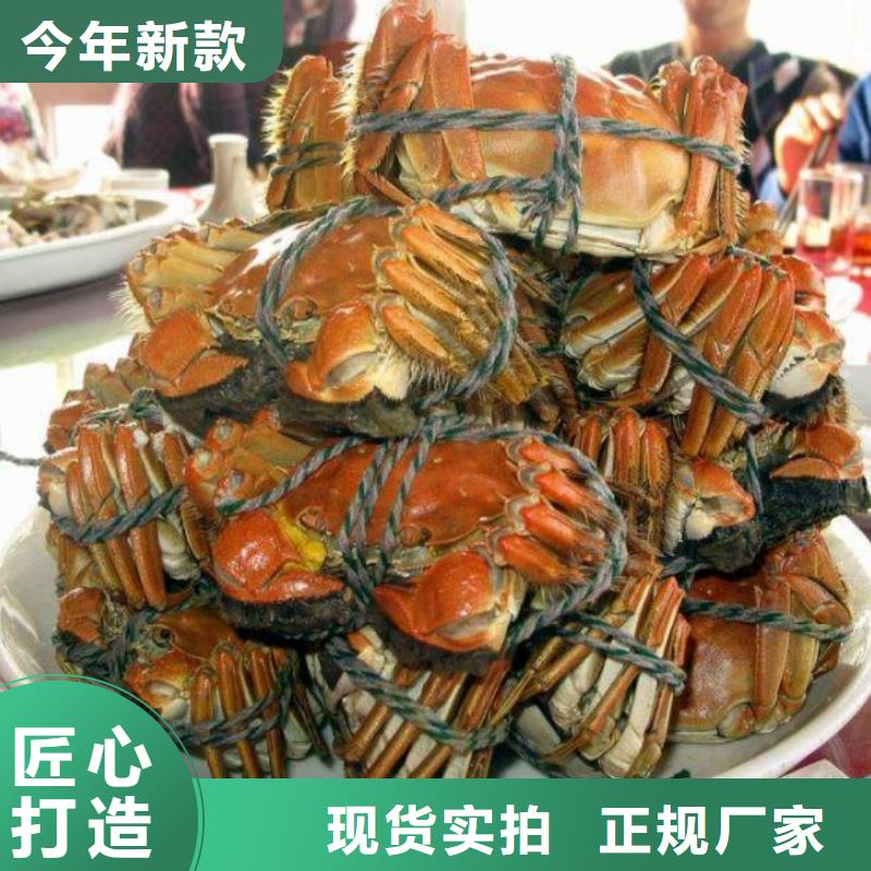 湖北襄樊网上订购大闸蟹