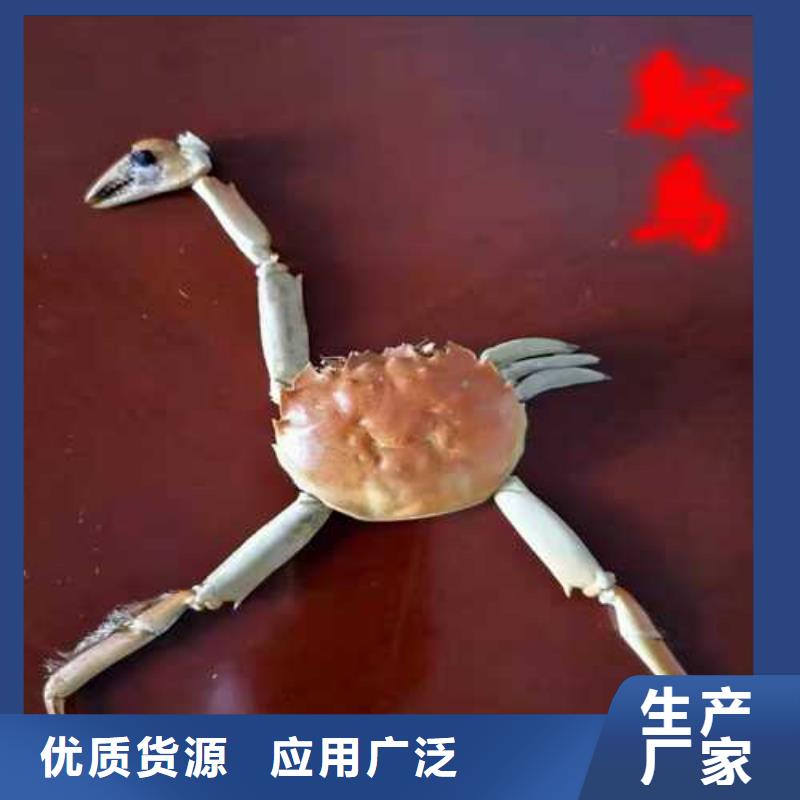 高质量亳州定制螃蟹供应商