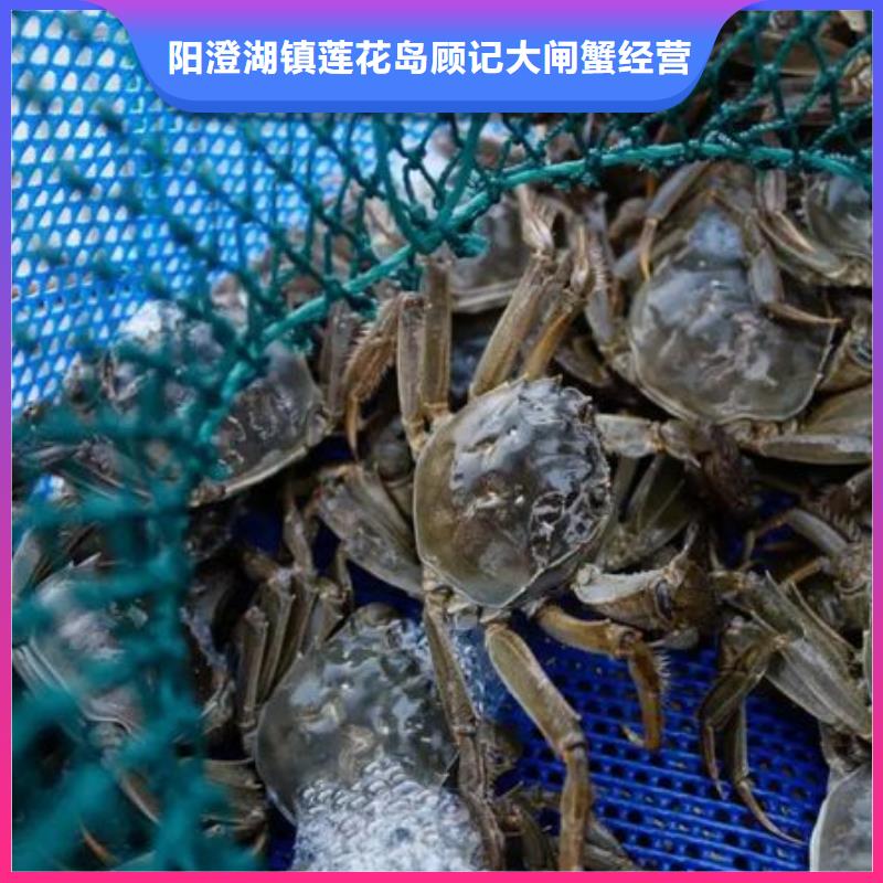 鲜活螃蟹价格多少钱一斤
