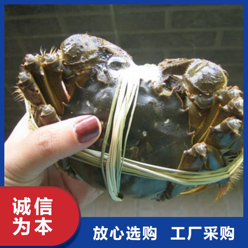【大庆】优选大闸蟹质量好发货快