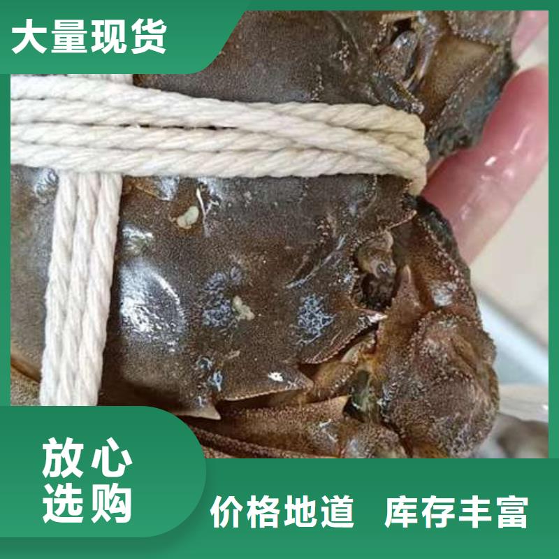 阳澄湖大闸蟹今日行情