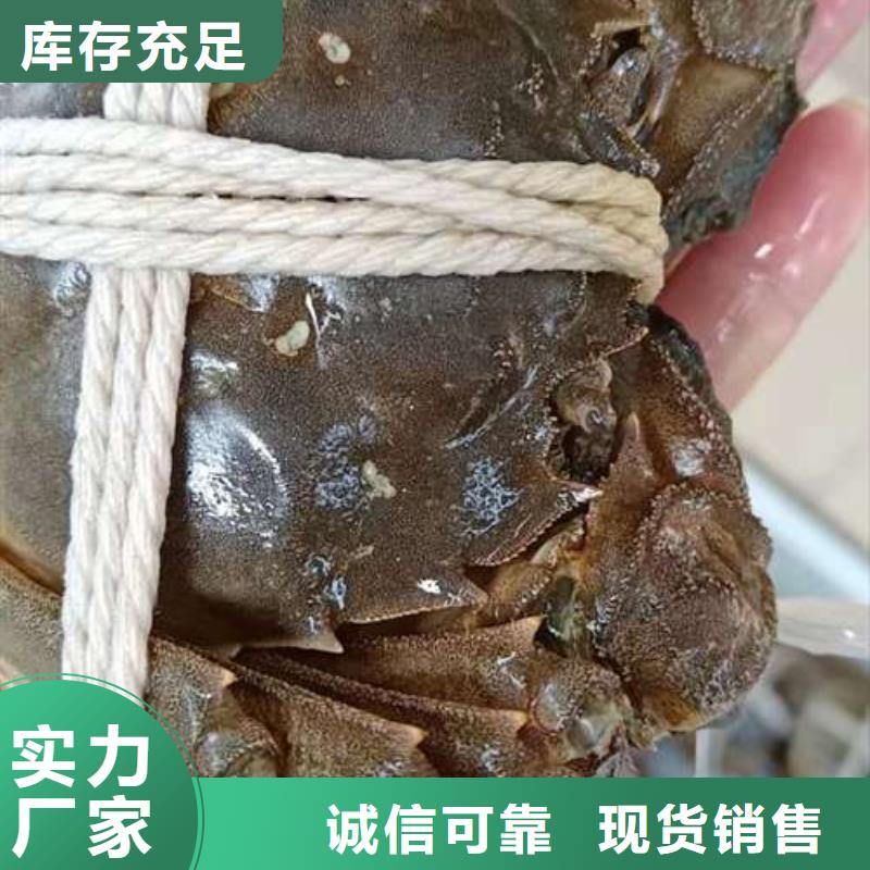 阳澄湖大闸蟹支持非标定制