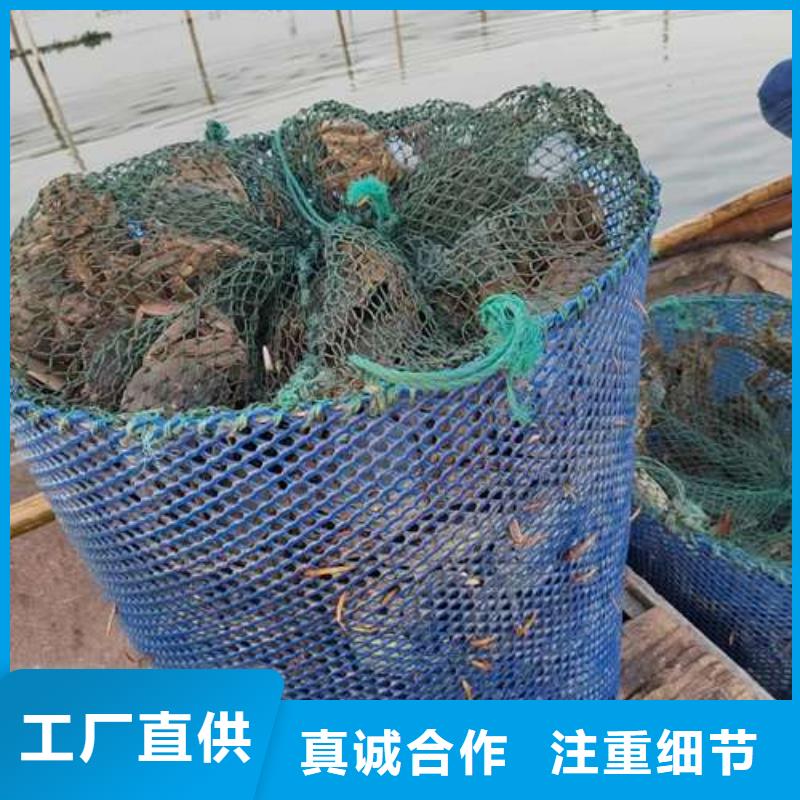 阳澄湖大闸蟹原厂正品