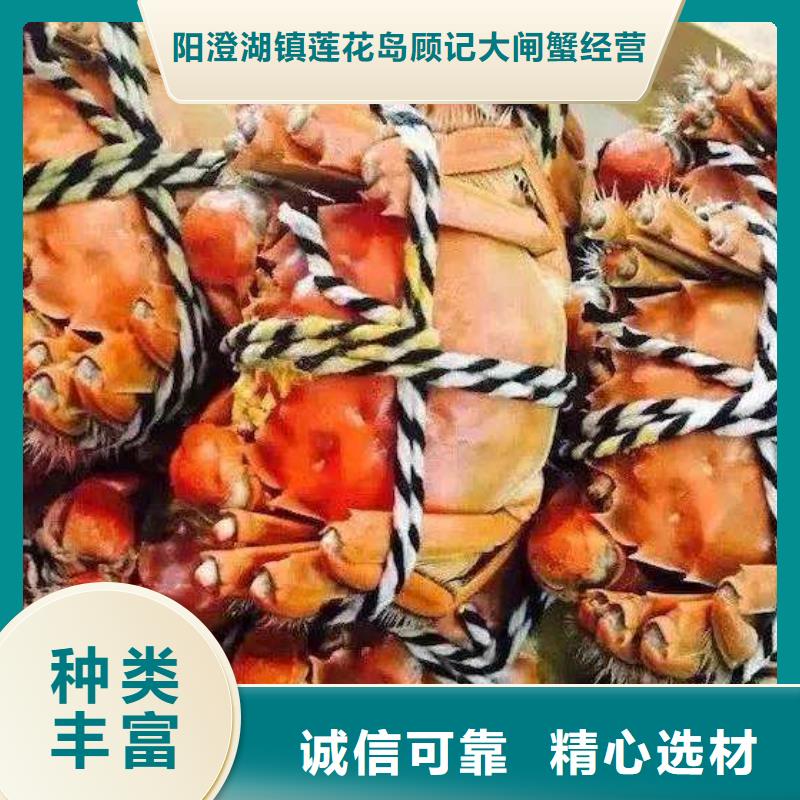 阳澄湖大闸蟹今日价格