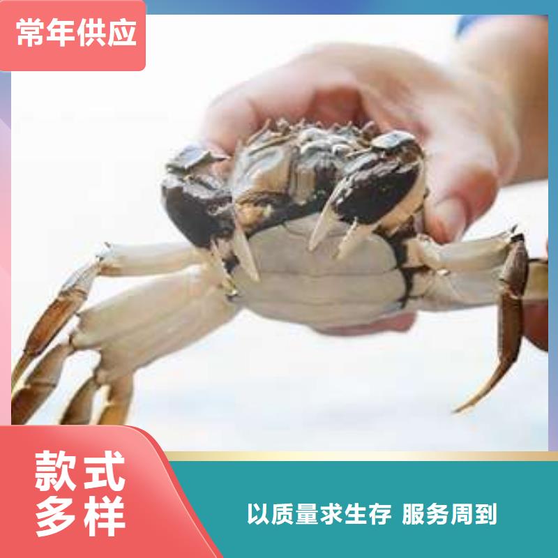 阳澄湖大闸蟹款式齐全