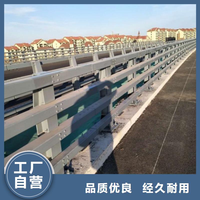 2022型号齐全#【温州】本土不锈钢复合管隔离护栏#直接报价
