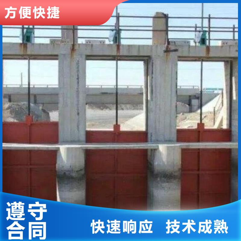 天津附近定做河道铸铁闸门的生产厂家
