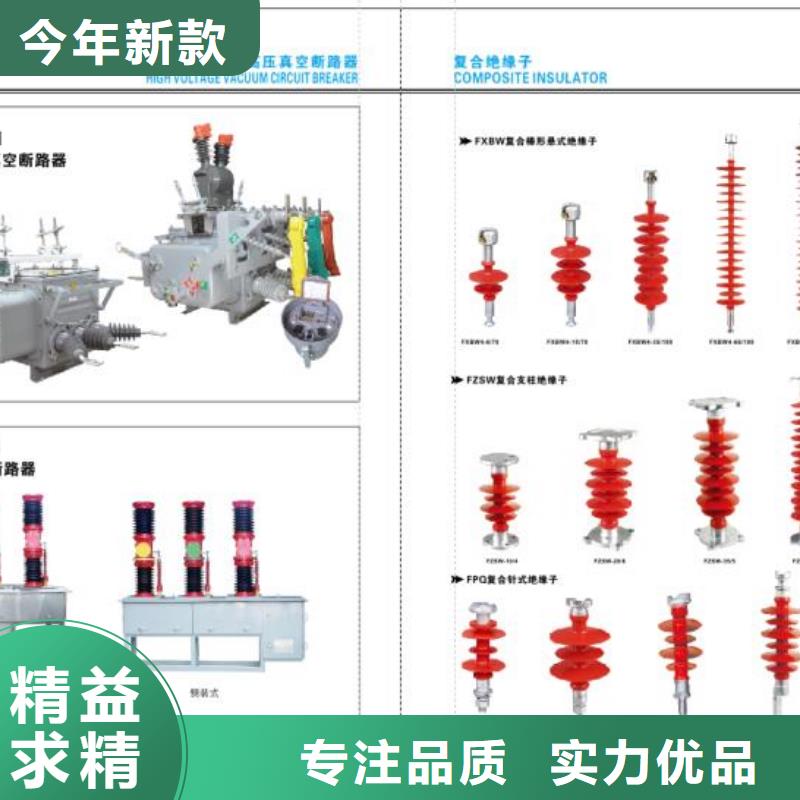 高压隔离开关绝缘子实拍展现