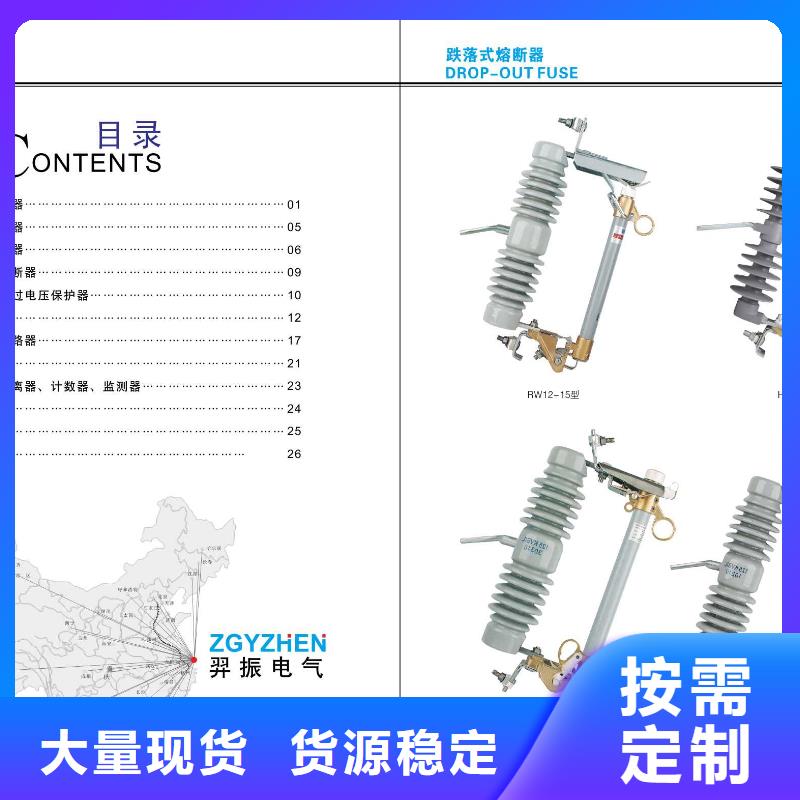 高压熔断器-RWG1-10F/100