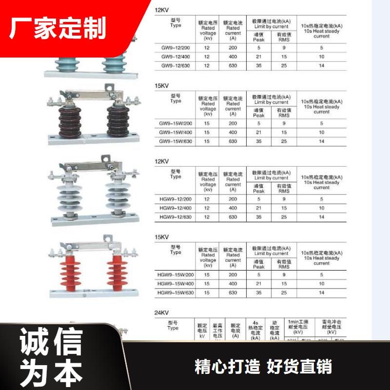 高压熔断器-PRW10-10F/100A