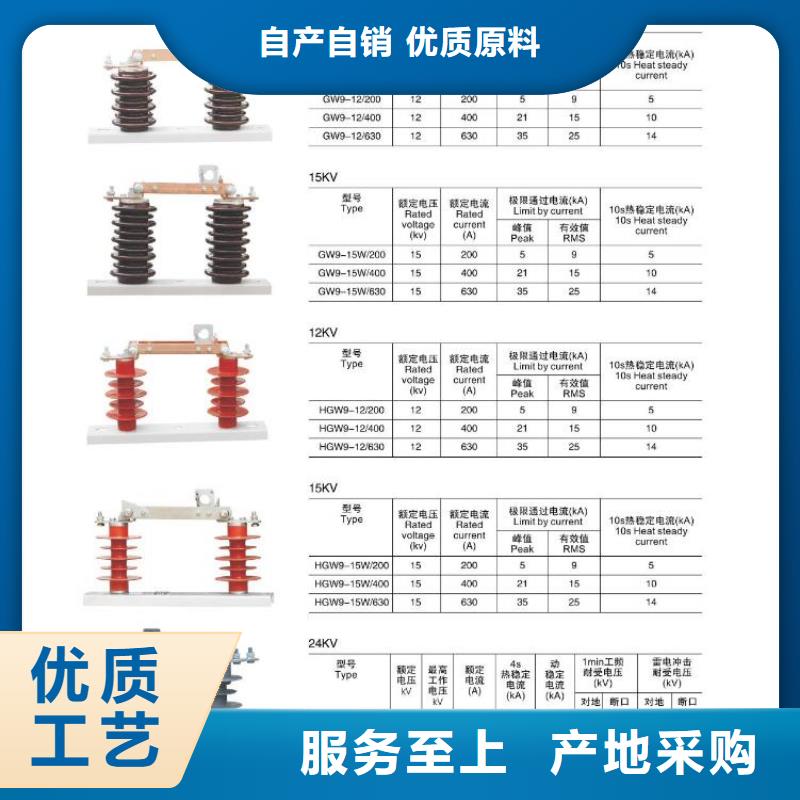 高压熔断器-HRW11-12KV/100