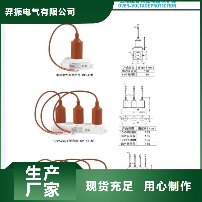 高压熔断器-RW12-11/100A-RW12-11/200A